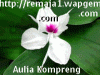 Kencur harum
